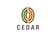 Cedar Management Consulting