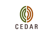 Cedar Consulting